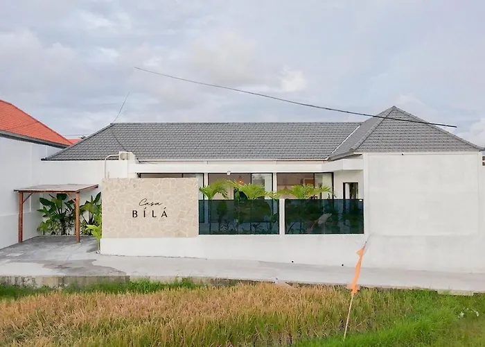 Casa Bila - Luxe & 3br Pool Canggu (Bali)